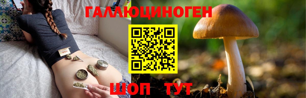 Прокопьевск  Галлюциногенные грибы MAGIC MUSHROOMS  Вход с VPN 