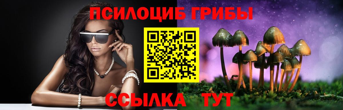 Псилоцибиновые грибы GOLDEN TEACHER Прокопьевск