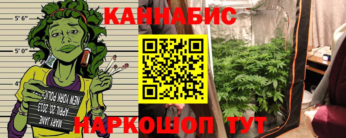 МАРИХУАНА конопля  Конопля планчик  Конопля гибрид  Прокопьевск  Вход с VPN 